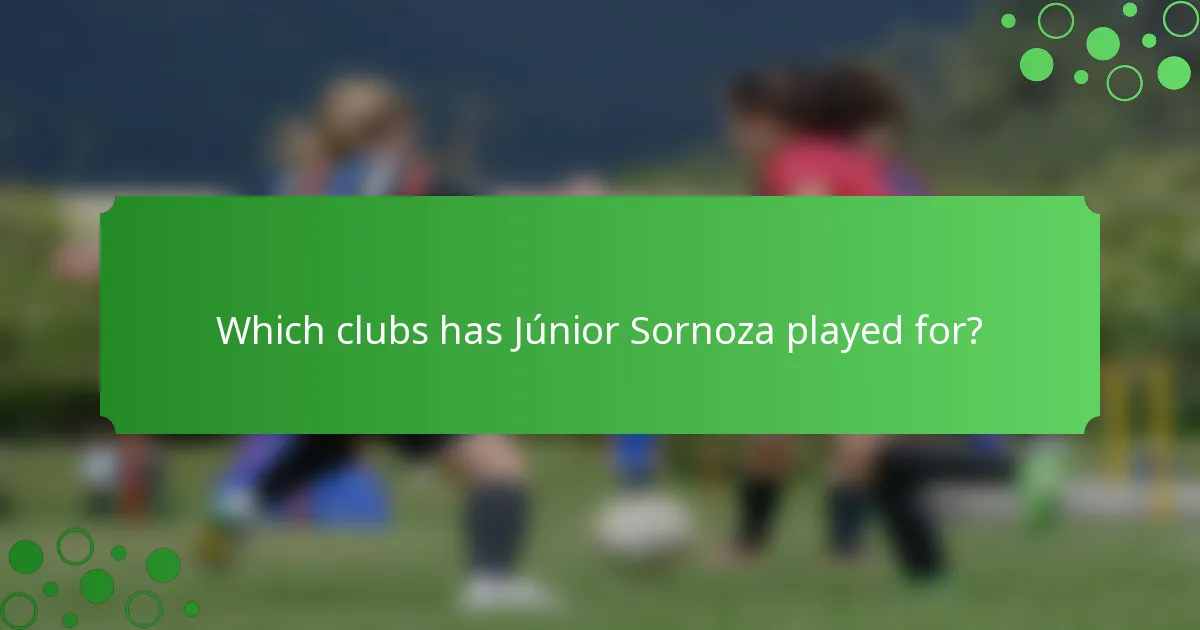 Which clubs has Júnior Sornoza played for?